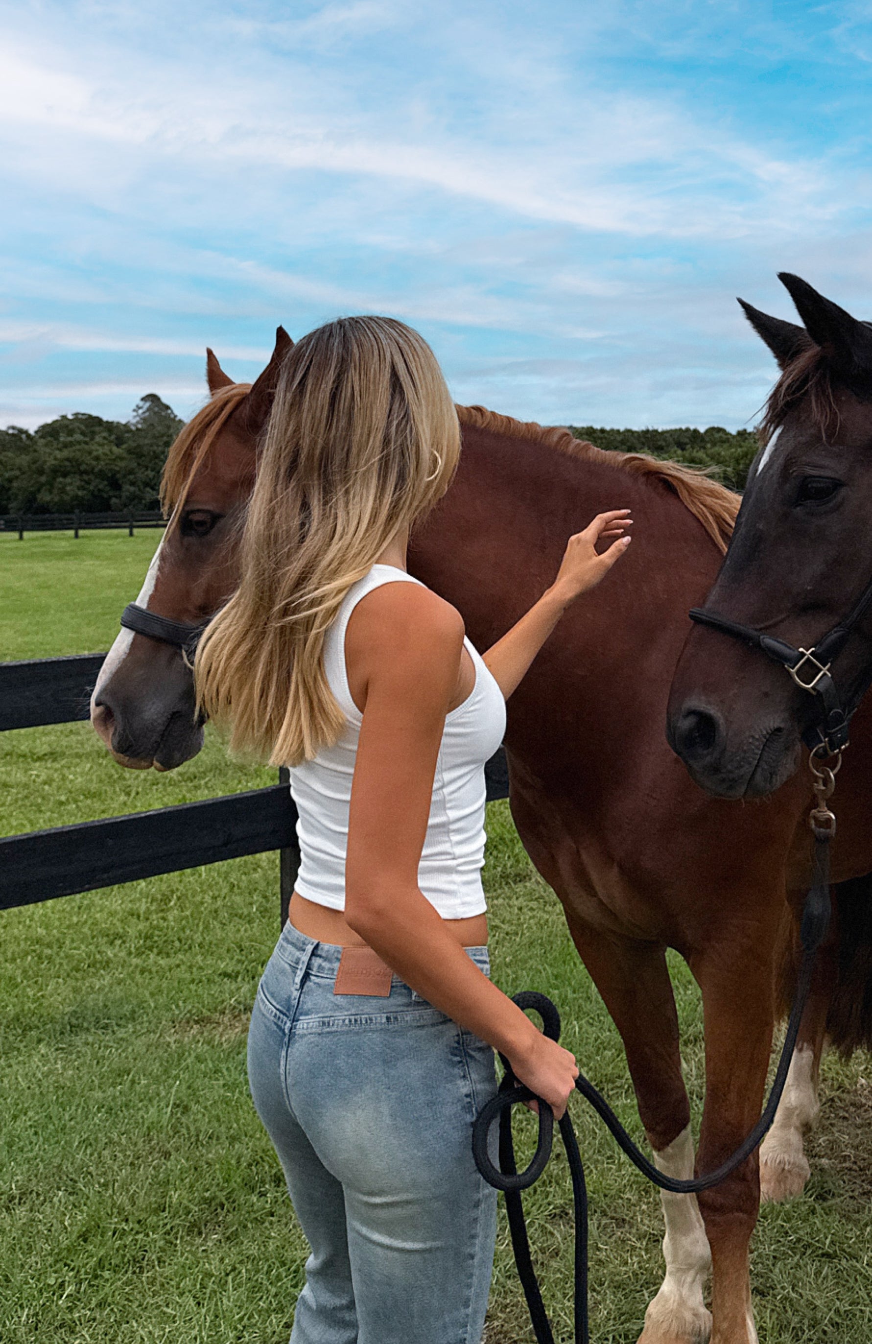 Original Trendsetter Low Rise Flare Jeans Brown Blue